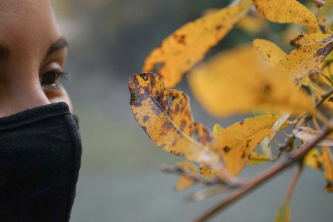 Close-up of woman in black mask looking at yellow leaves with brown spots