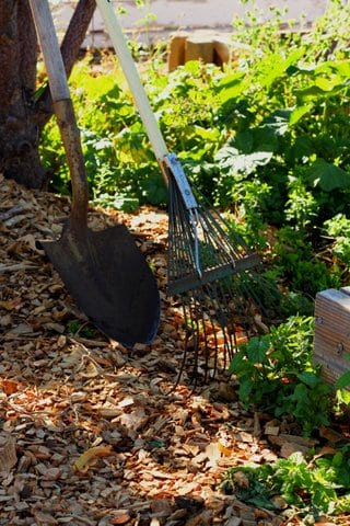 A shovel and rake in a garden