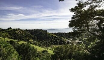 Lush green hills covered with trees in the foreground with a view of San Francisco Bay in the background