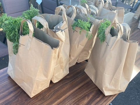 A table of brown paper grocery bags with some sort of greenery that may be carrot tops sticking out