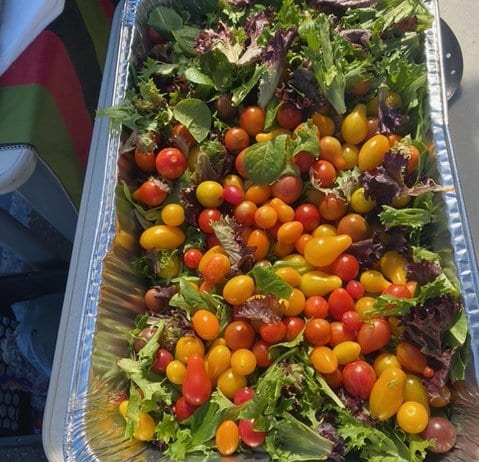 An aluminum tray of spring mix salad with little red, orange and yellow tomatoes