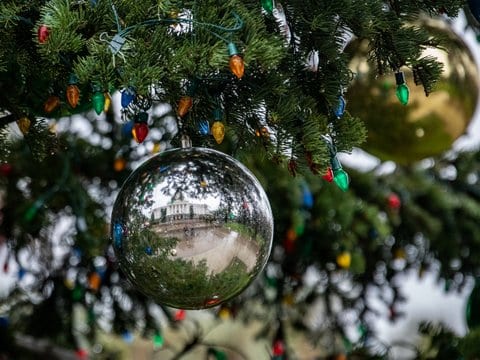 Close up of tree branches decorated with Christmas lights and ornaments included a silver ball in which the California state capitol building is reflected