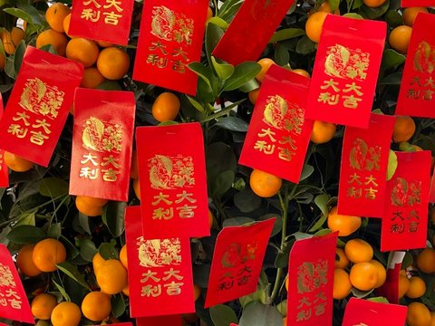 Red envelopes with gold design and Chinese writing affixed to mandarin orange plants