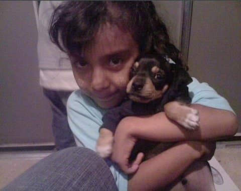 A little Hispanic girl holding a black and tan puppy