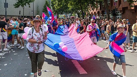 People carrying a large bisexual pride flag between them parallel to the ground. It has a blue, purple and pink stripe. Of the two people at the front, one is older and the other is young and carrying a smaller bisexual pride flag