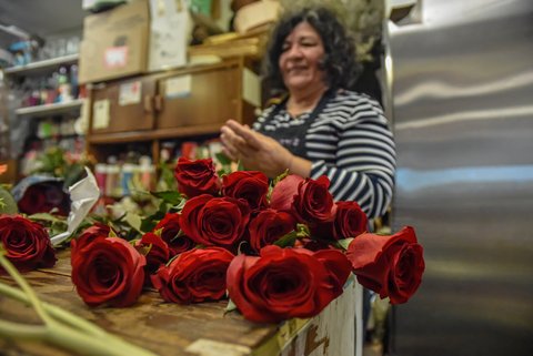 In the foreground, a bouquet of red roses lying on a counter. in the background, out of focus, a latina woman wearing a striped black and white shirt and black apron