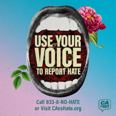 Illustration of an open mouth with text inside that reads use your voice to report hate. Other text reads call 833 NO HATE or visit CAVS hate dot org