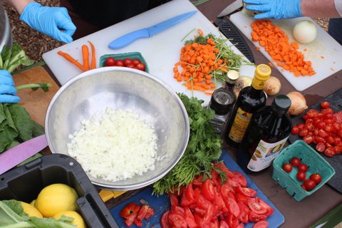 a bowl of chopped white onions, on cutting boards cut up tomatoes and carrots, whole carrots and a whole white onion, in containers whole cherry tomatoes and lemons, bottles of olive oil and balsamic vinegar, a blue knife, and blue-gloved hands