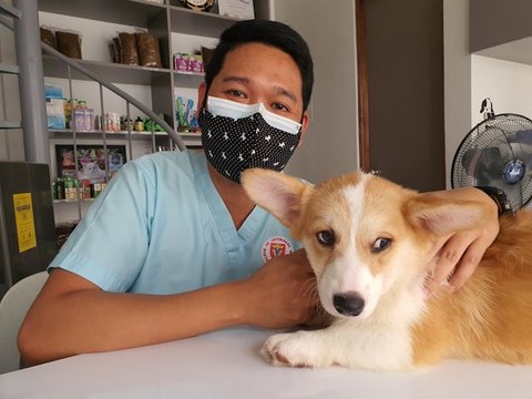 an asian man wearing light blue scrubs and a surgical mask with a patterned mask over it sitting with a corgi on a table in front of him