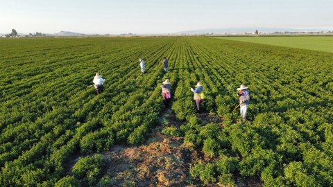 tulelake_farmworkers