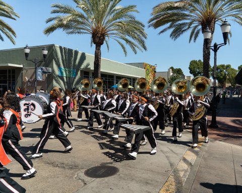 a marching band performing outside on a sunny day near two palm trees and a building