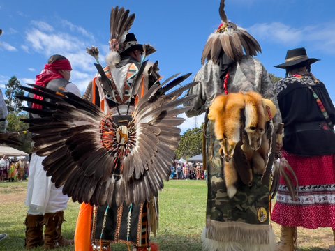 native american people in traditional regalia seen from behind on a sunny day.