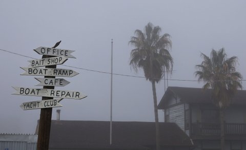 on a foggy day, two palm trees and signs pointing in different directions that say office, bait shop, boat ramp, cafe, boat repair, yacht club