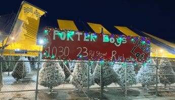 christmas trees painted white to look like they've been snowed on behind a chain link fence. red sign bordered with christmas lights that says porter boys tree lot 1030 23rd street richmond