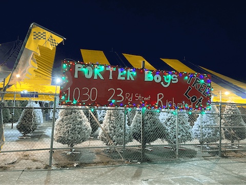 christmas trees painted white to look like they've been snowed on behind a chain link fence. red sign bordered with christmas lights that says porter boys tree lot 1030 23rd street richmond