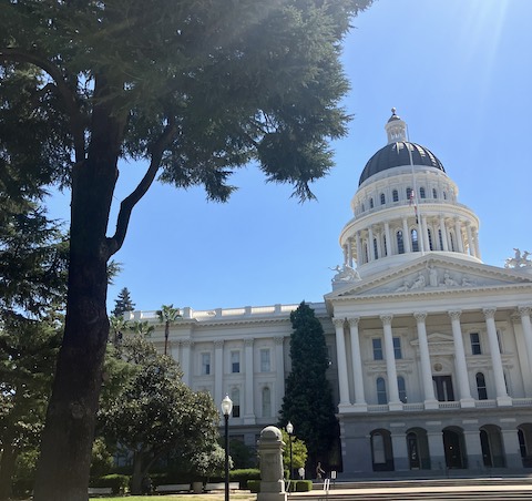 Political Playback: California Capitol News You Might Have Missed California State Capitol